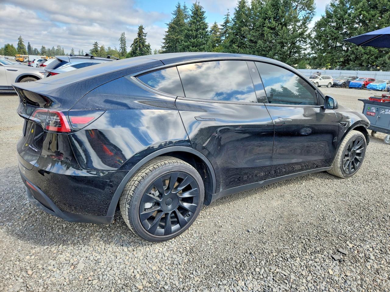 2022 Tesla Model Y - Фото 3