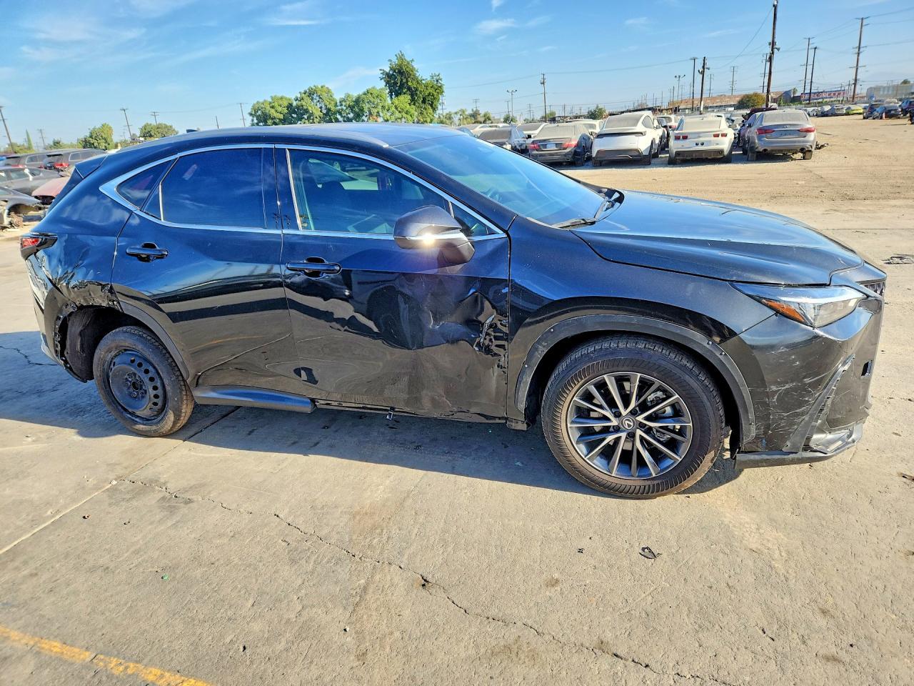 2024 Lexus Nx 250 Premium - Image 4