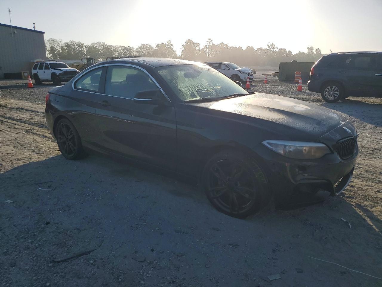 2016 BMW 228 I Sulev - Фото 4
