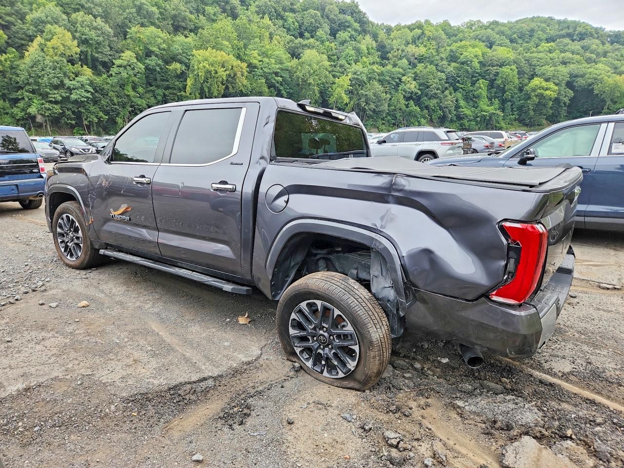 2025 Toyota Tundra Crewmax Limited - Фото 2