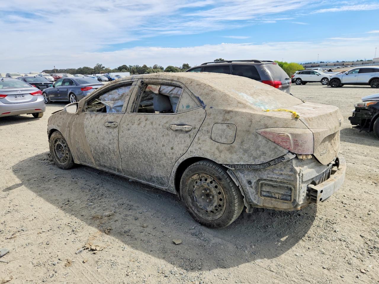 2019 Toyota Corolla Le - Фото 2
