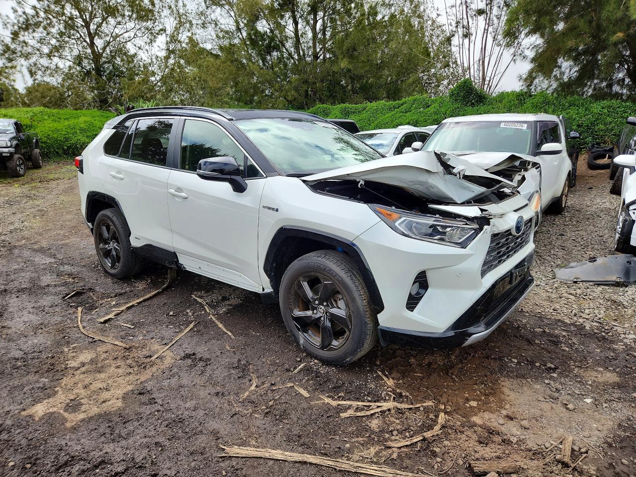 2020 Toyota Rav4 Xse - Image 4