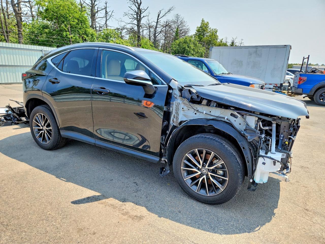 2024 Lexus Nx 350 Premium - Image 4