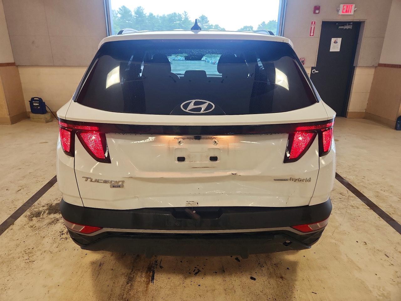 2024 Hyundai Tucson Blue - Фото 6