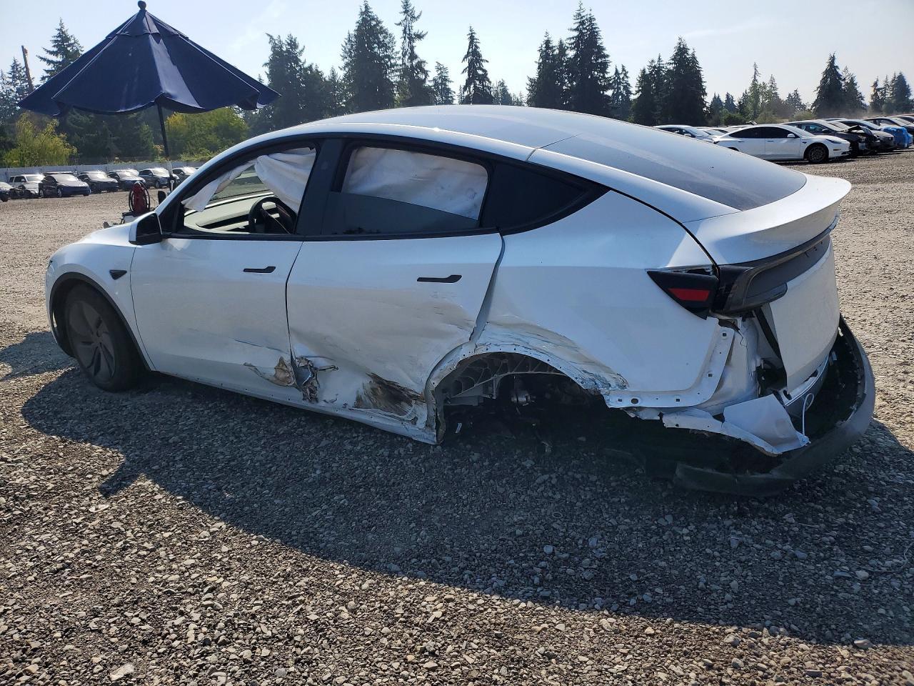 2026 Tesla Model Y - Image 2