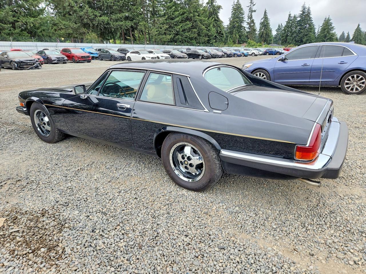 1983 Jaguar Xjs - Фото 2
