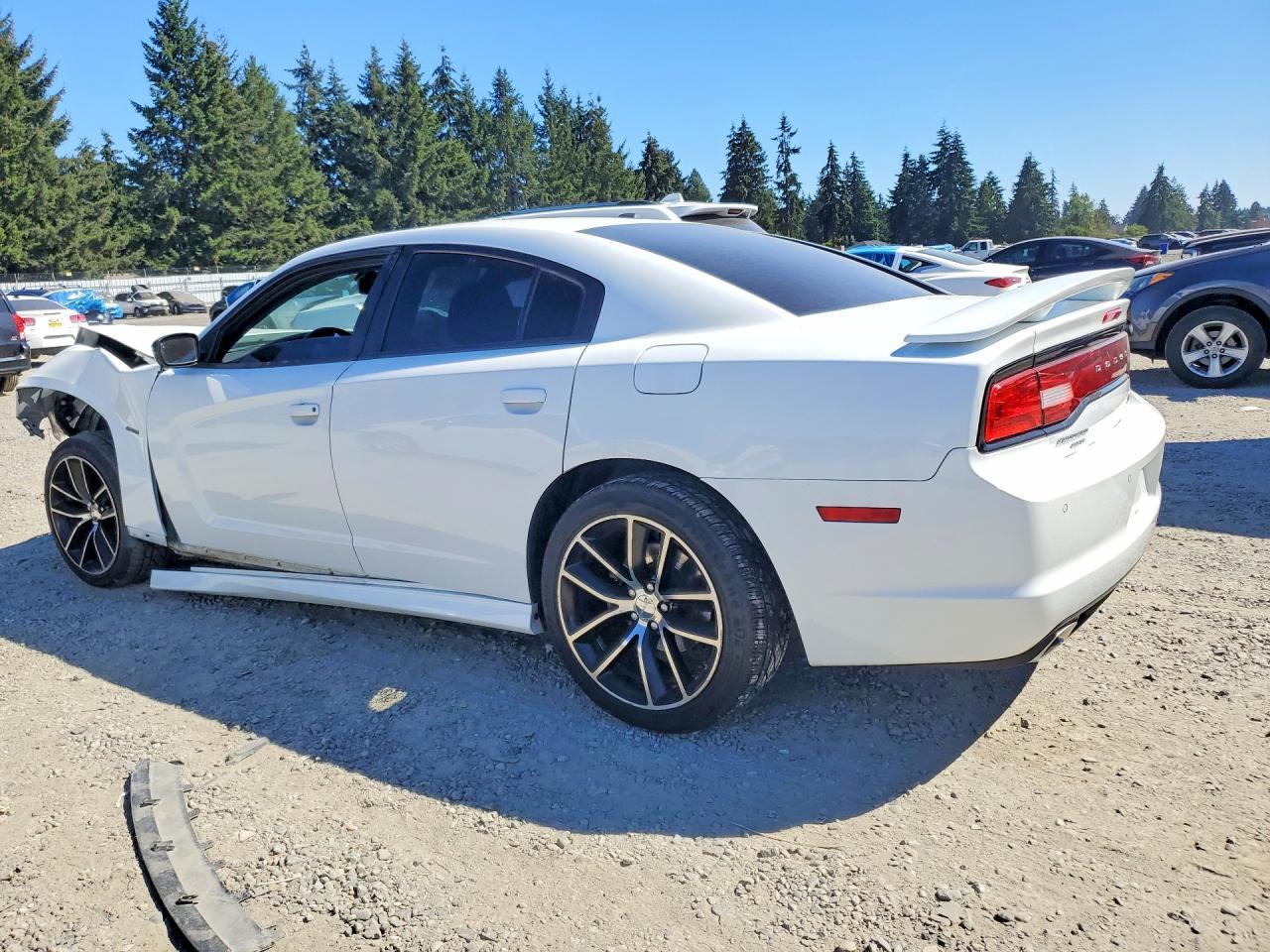 2014 Dodg Charger R/ - Фото 2