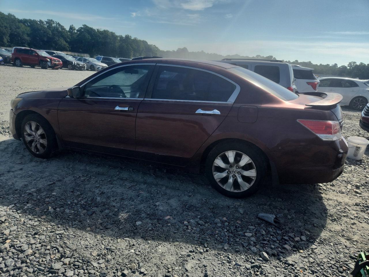 2008 Honda Accord Exl - Фото 2