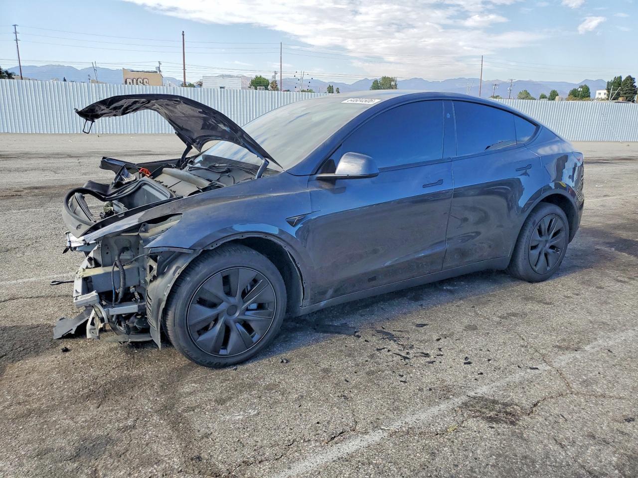2025 Tesla Model Y