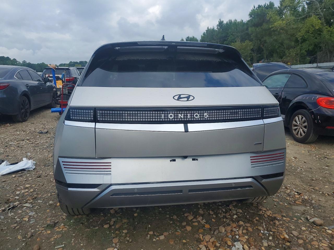 2024 Hyundai Ioniq 5 Disney100 Platinum Edition - Фото 6