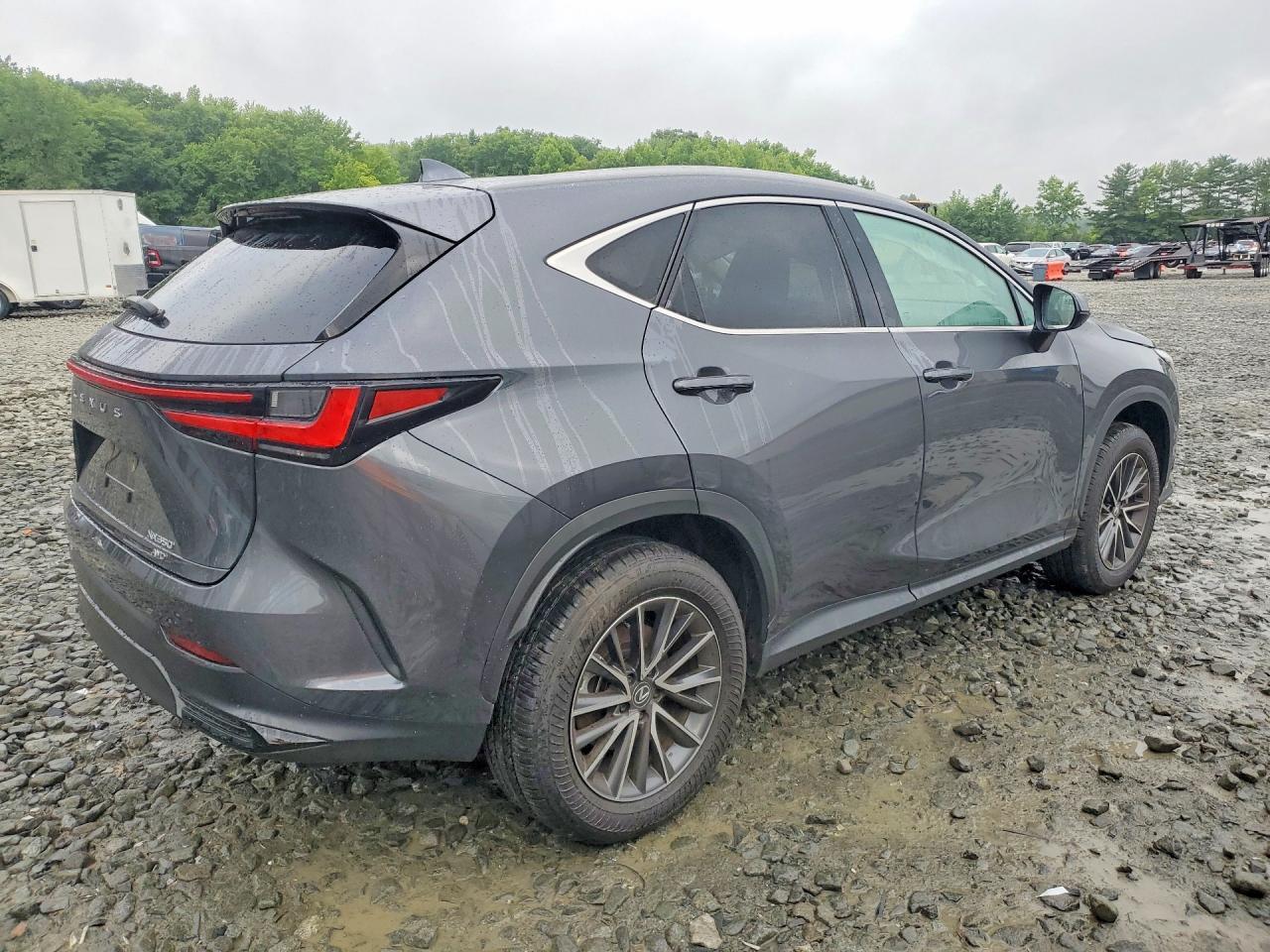 2025 Lexus Nx 350 Premium - Фото 3