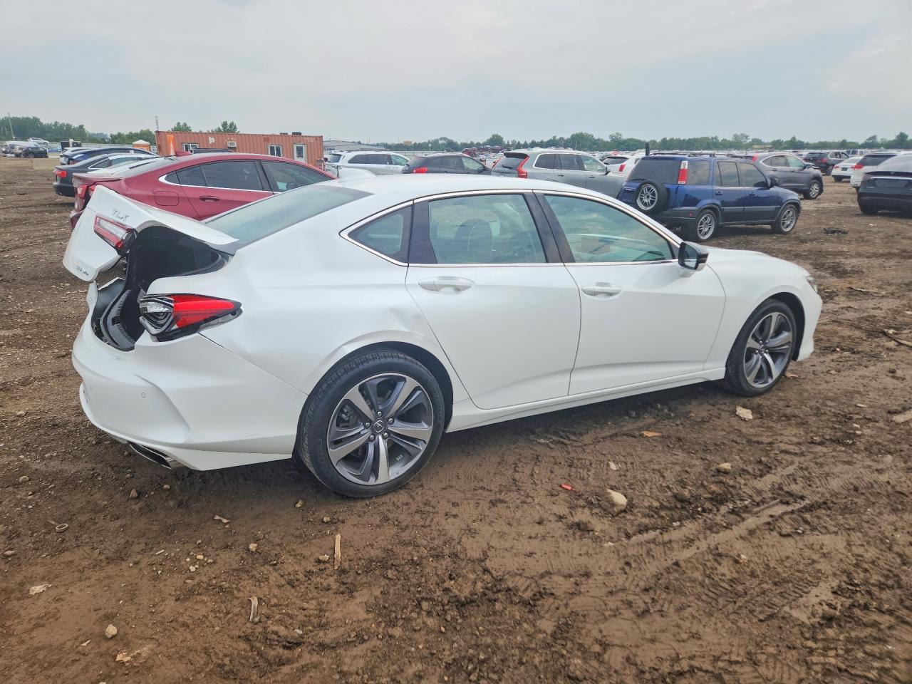 2023 Acura Tlx Advance - Image 3