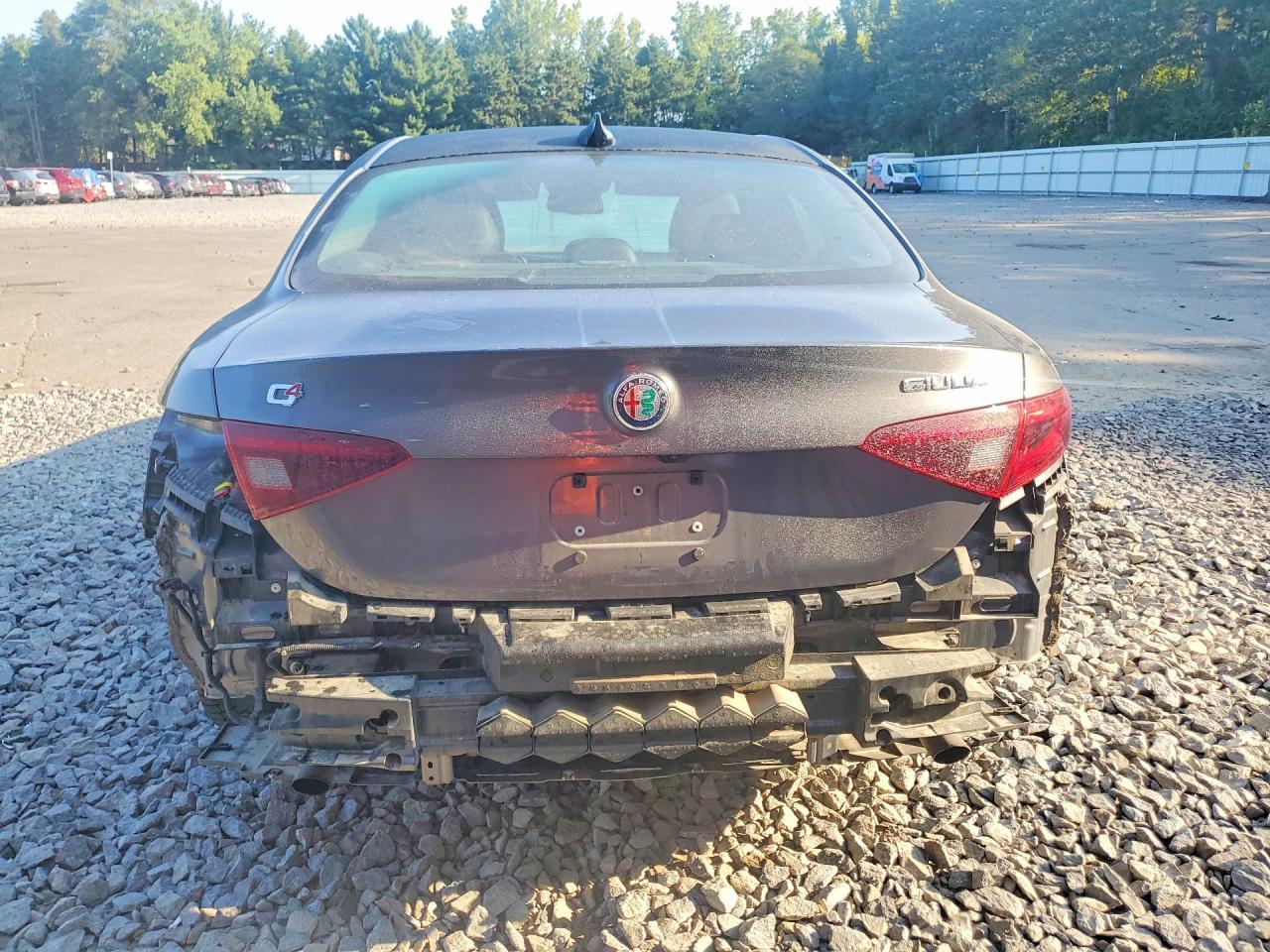 2020 Alfa Romeo Giulia Ti - Фото 6