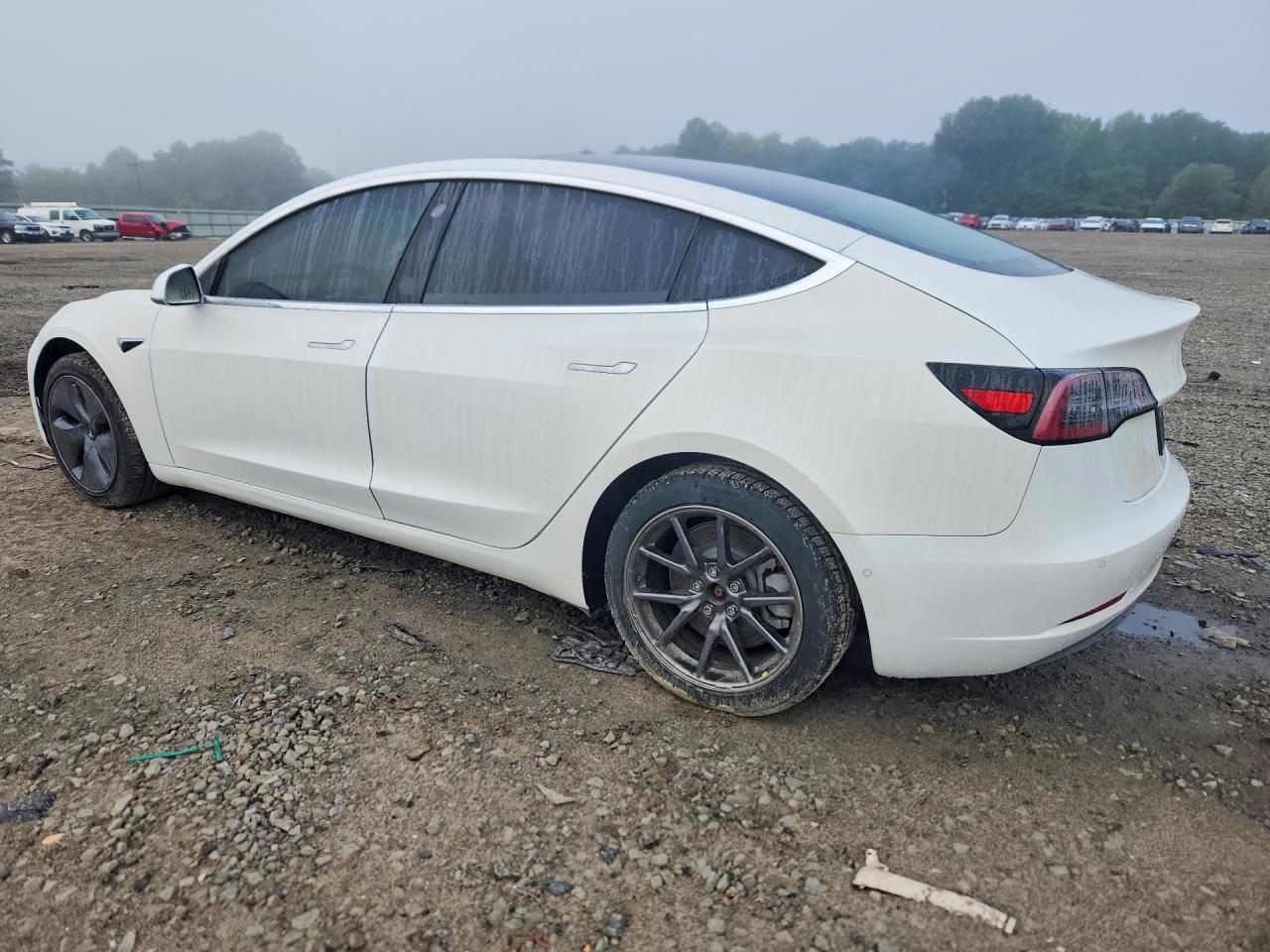2019 Tesla Model 3 - Фото 2