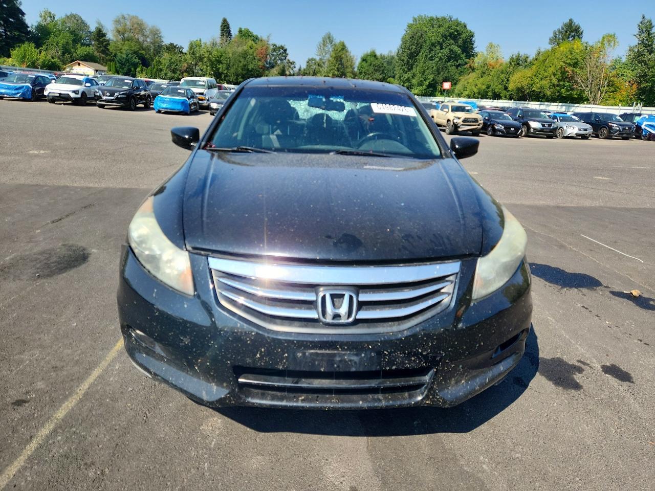 2011 Honda Accord Exl - Фото 5