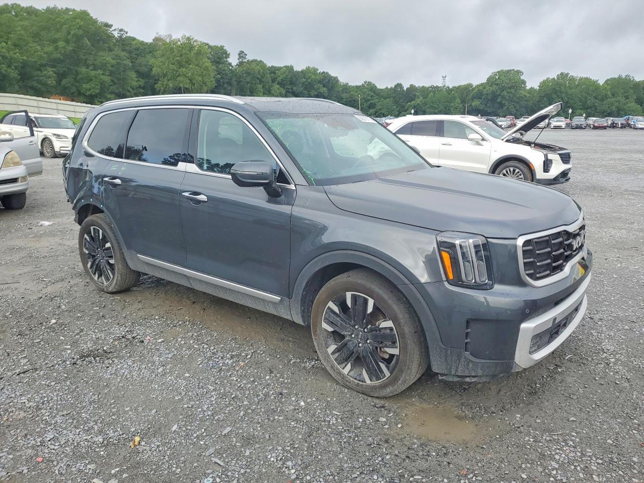 2024 Kia Telluride Sx-Prestige - Фото 4