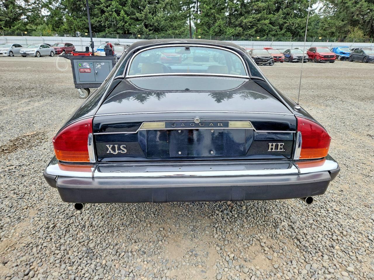 1983 Jaguar Xjs - Фото 6