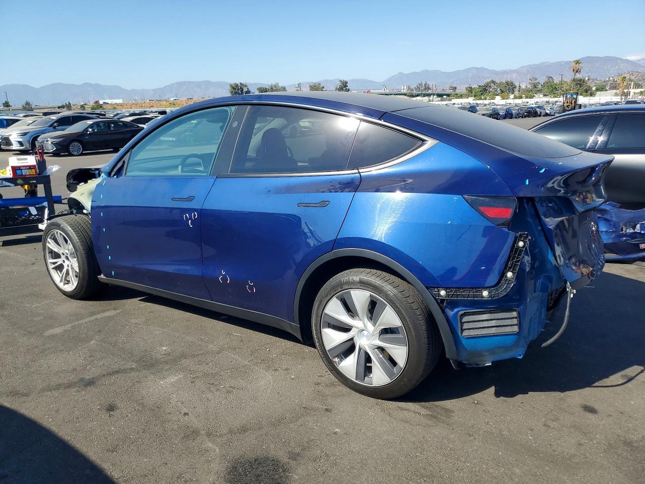 2023 Tesla Model Y - Фото 2