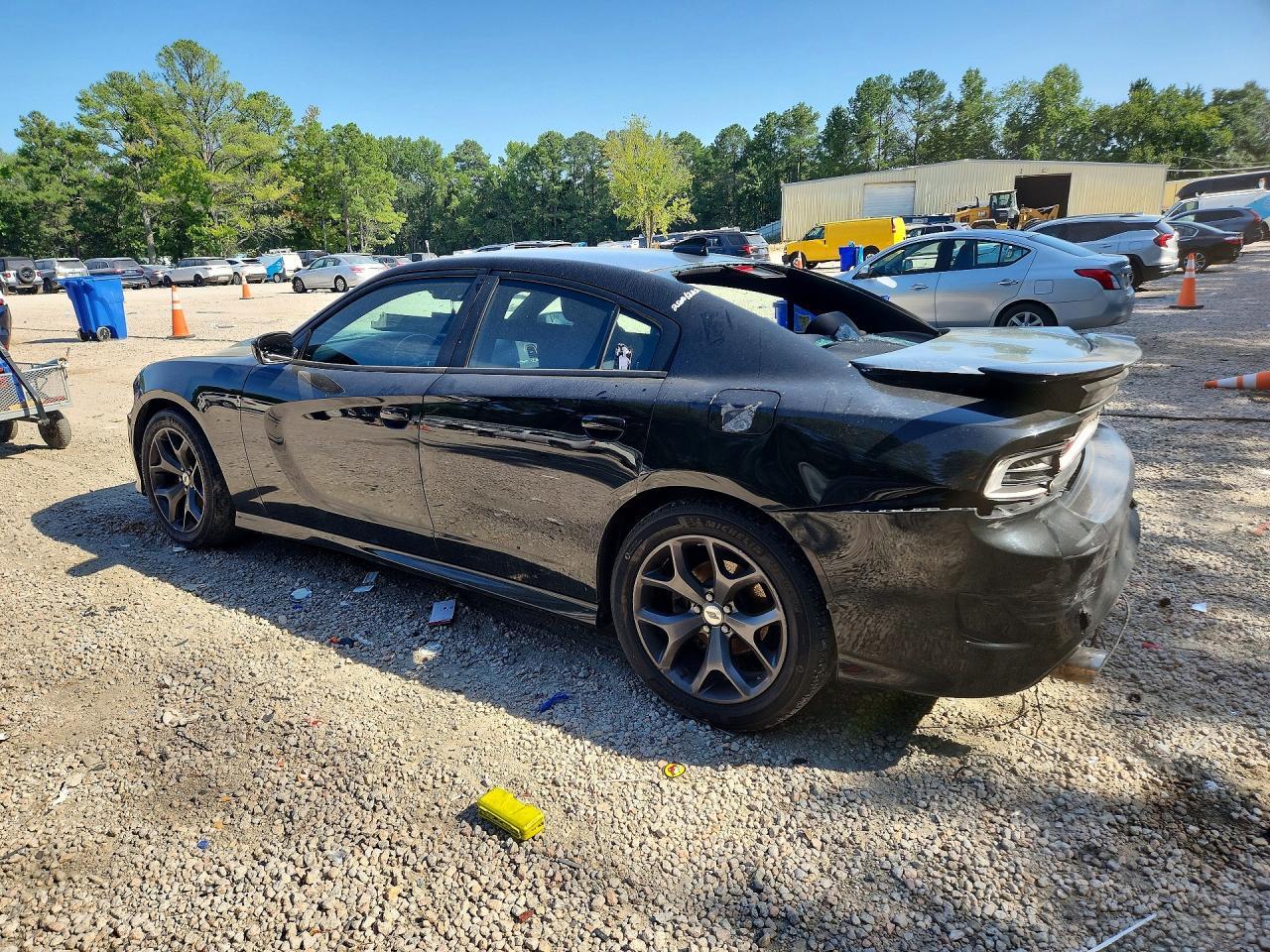 2019 Dodge Charger Gt - Фото 2