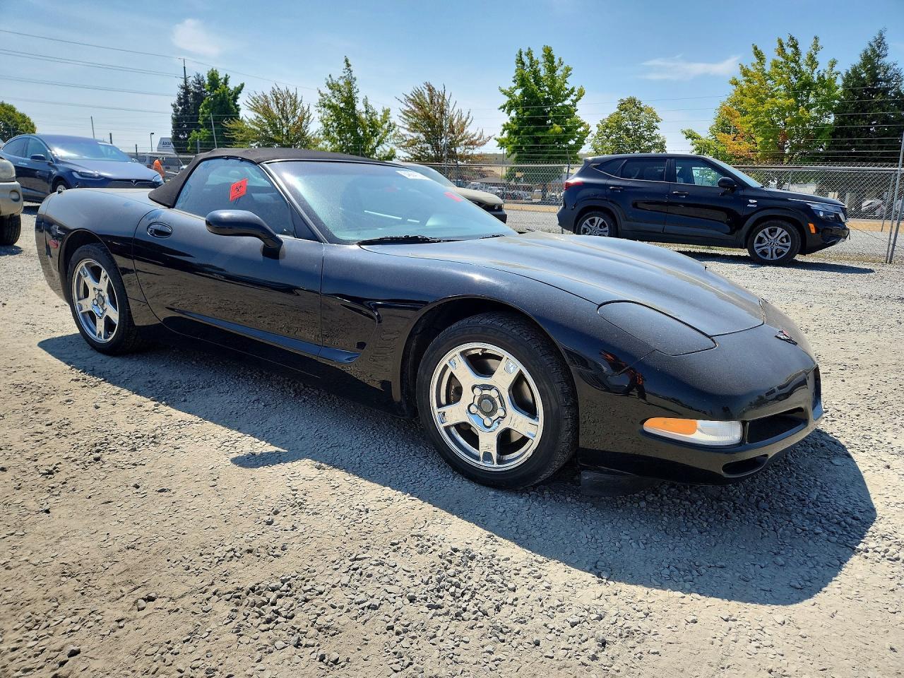 1998 Chevrolet Corvette - Image 4