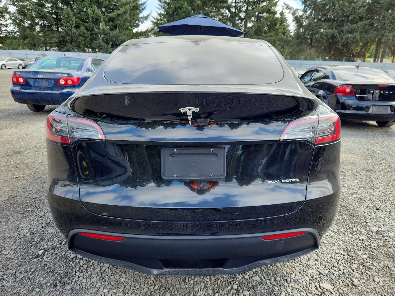 2022 Tesla Model Y - Фото 6