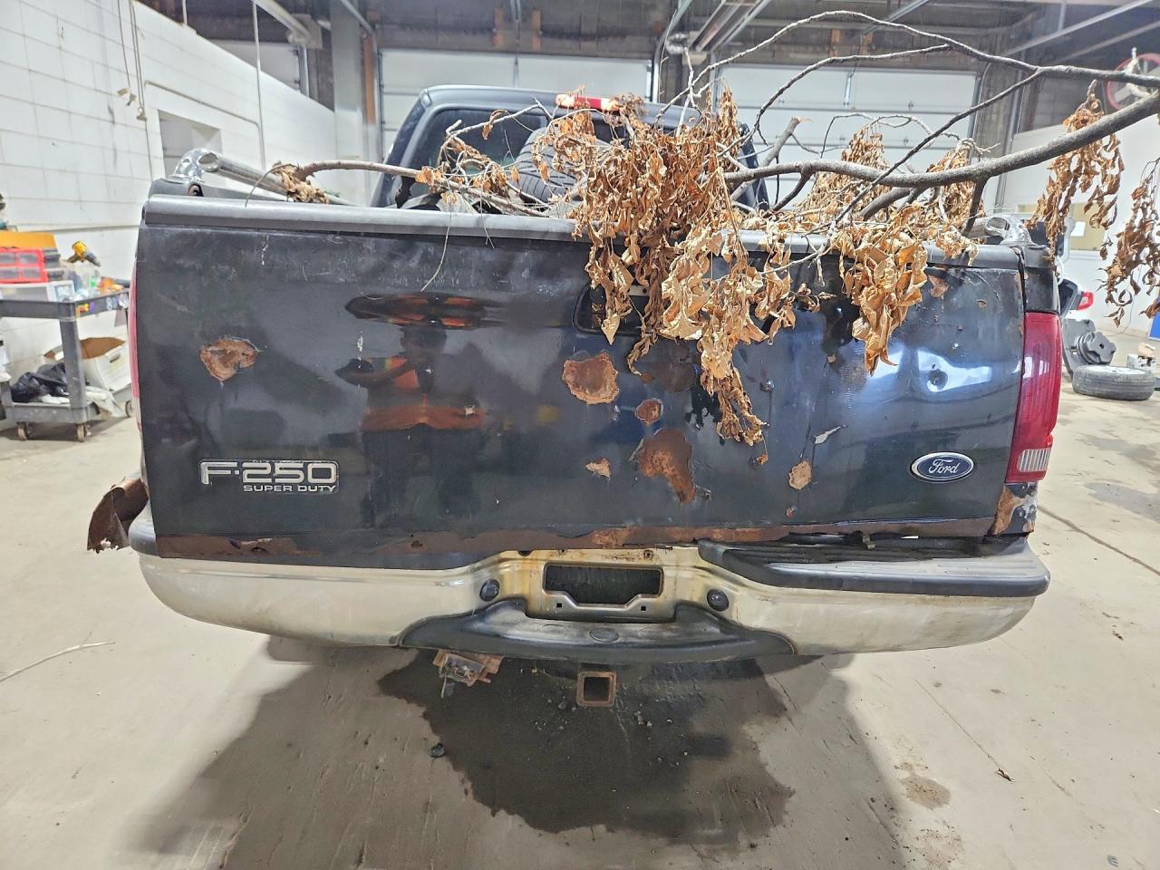 2001 Ford F250 Super Duty - Фото 6