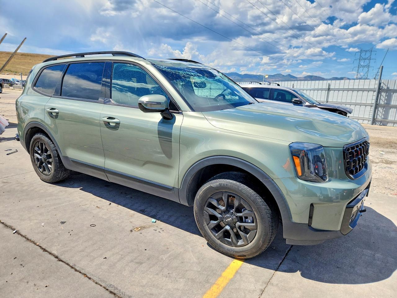 2024 Kia Telluride Sx X-Pro - Фото 4