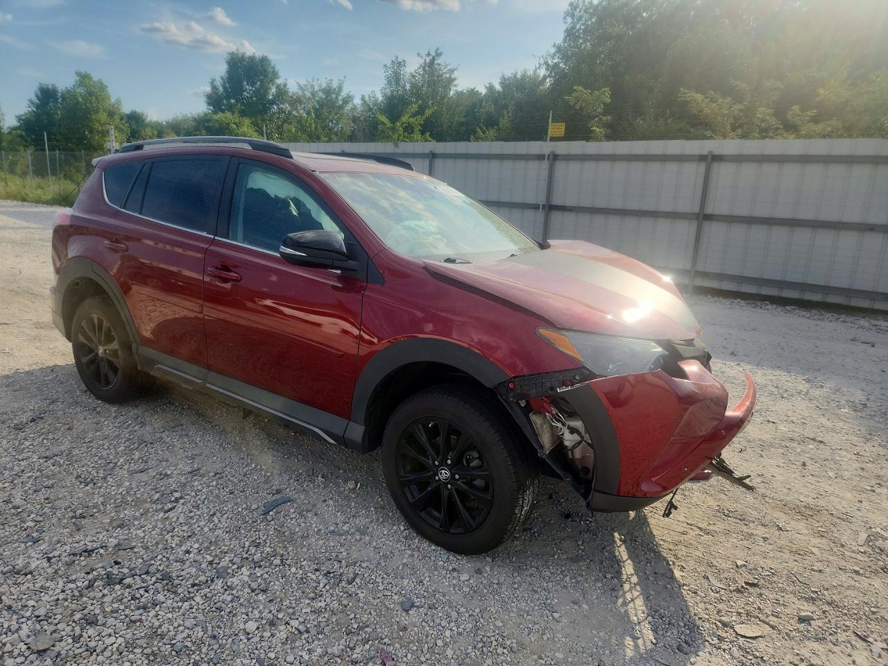 2018 Toyota Rav4 Adventure - Фото 4