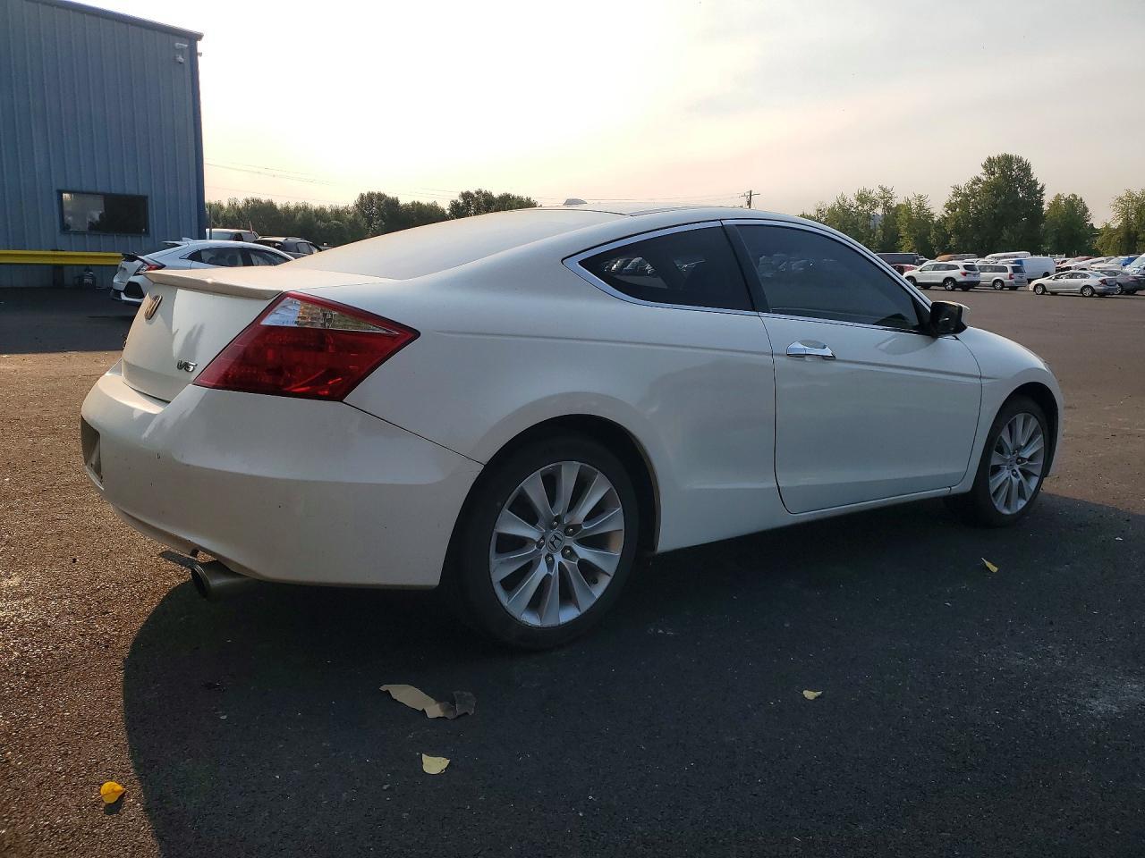 2010 Honda Accord Exl - Image 3