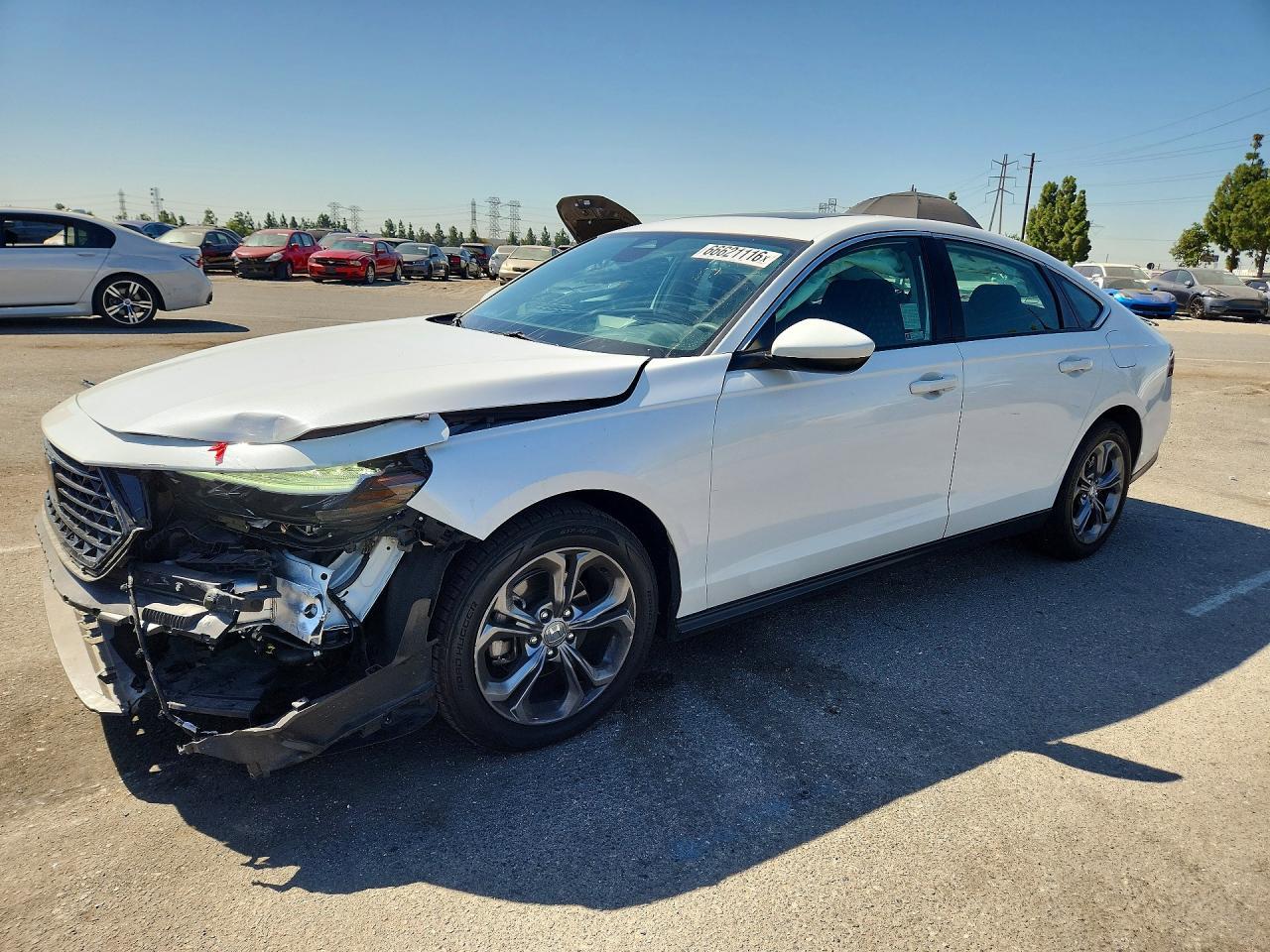 2023 Honda Accord Ex