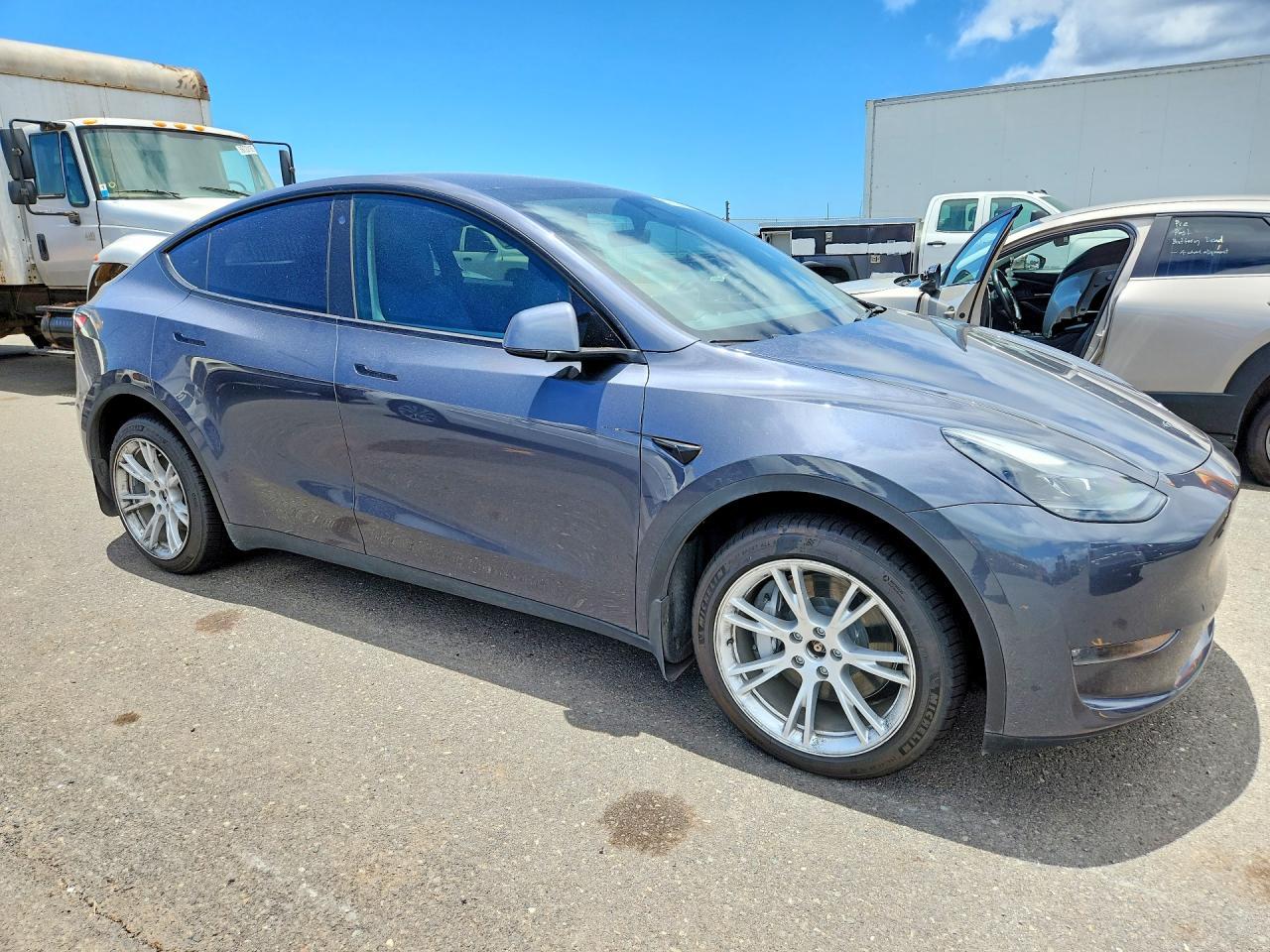 2023 Tesla Model Y - Фото 4