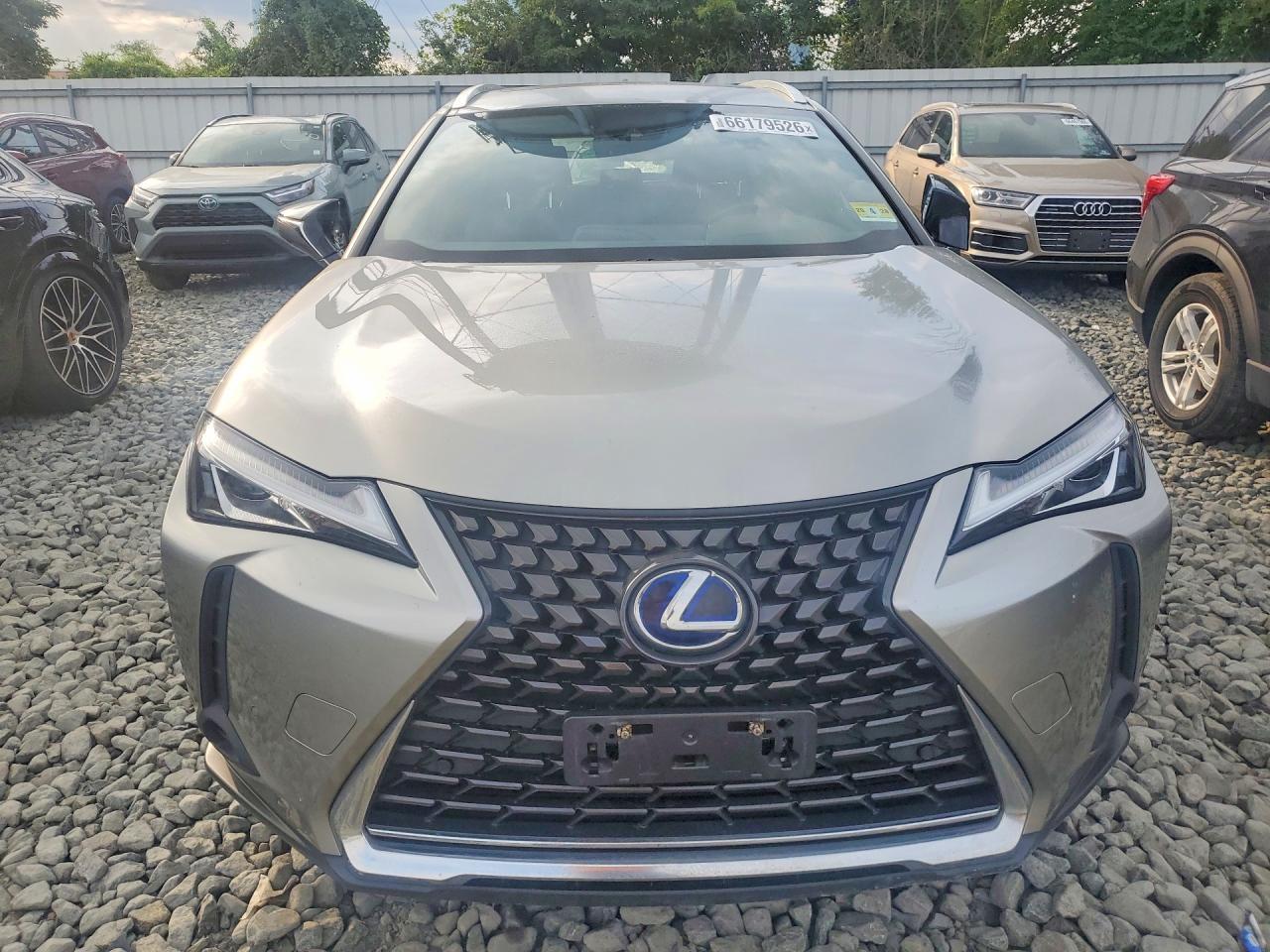 2021 Lexus Ux 250H - Фото 5
