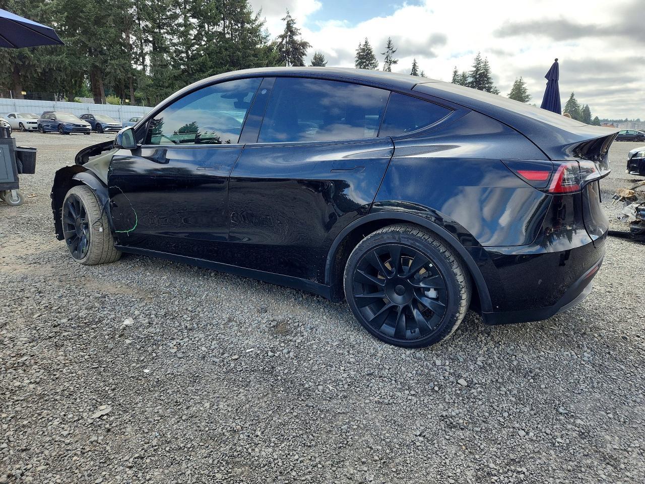 2022 Tesla Model Y - Фото 2