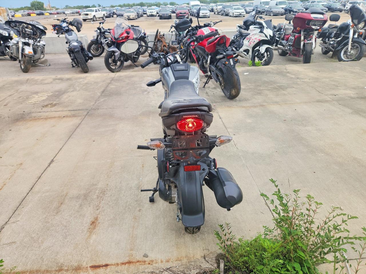 2026 Honda Navi - Фото 4