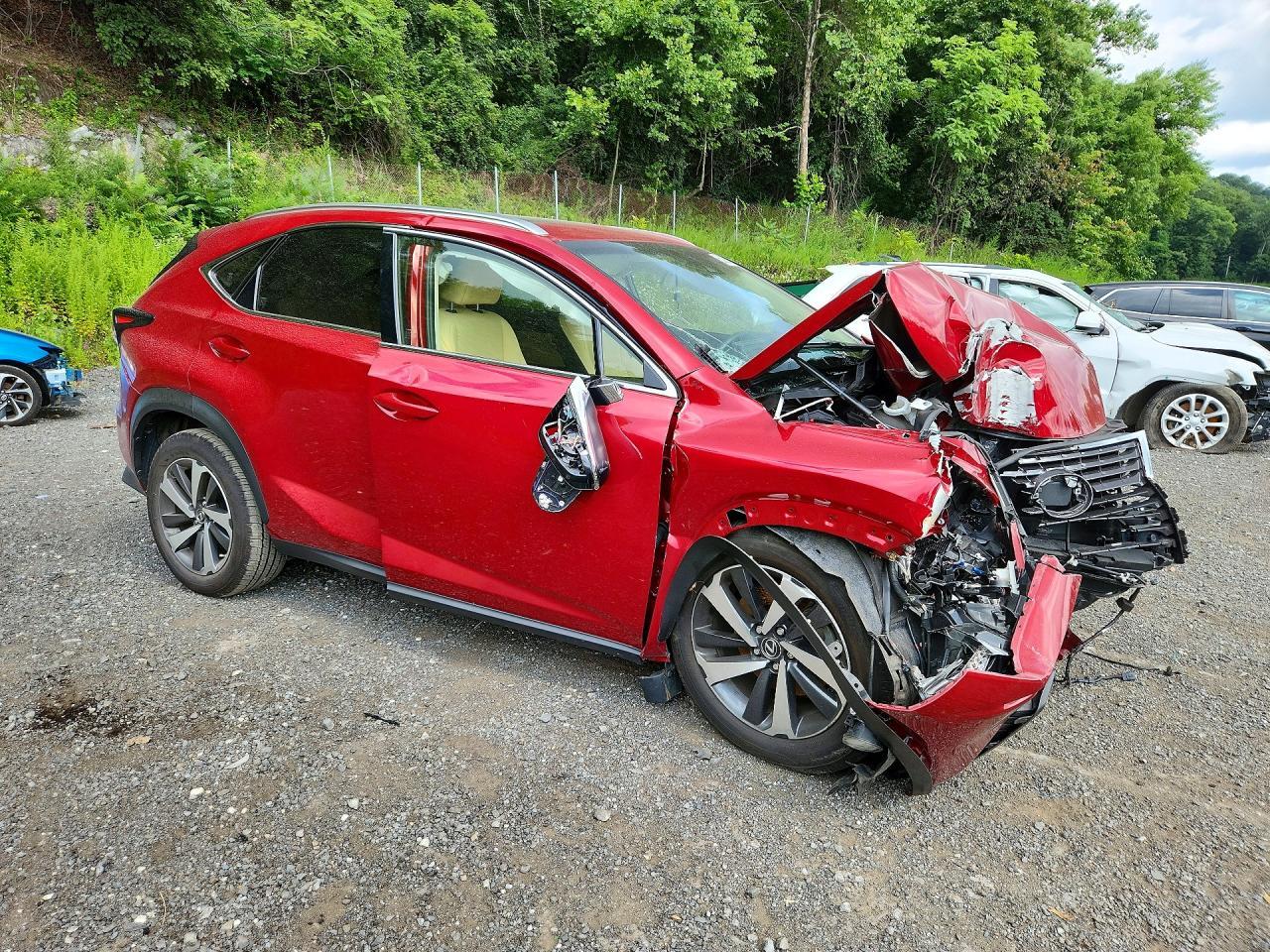 2018 Lexus Nx 300 Base - Фото 4