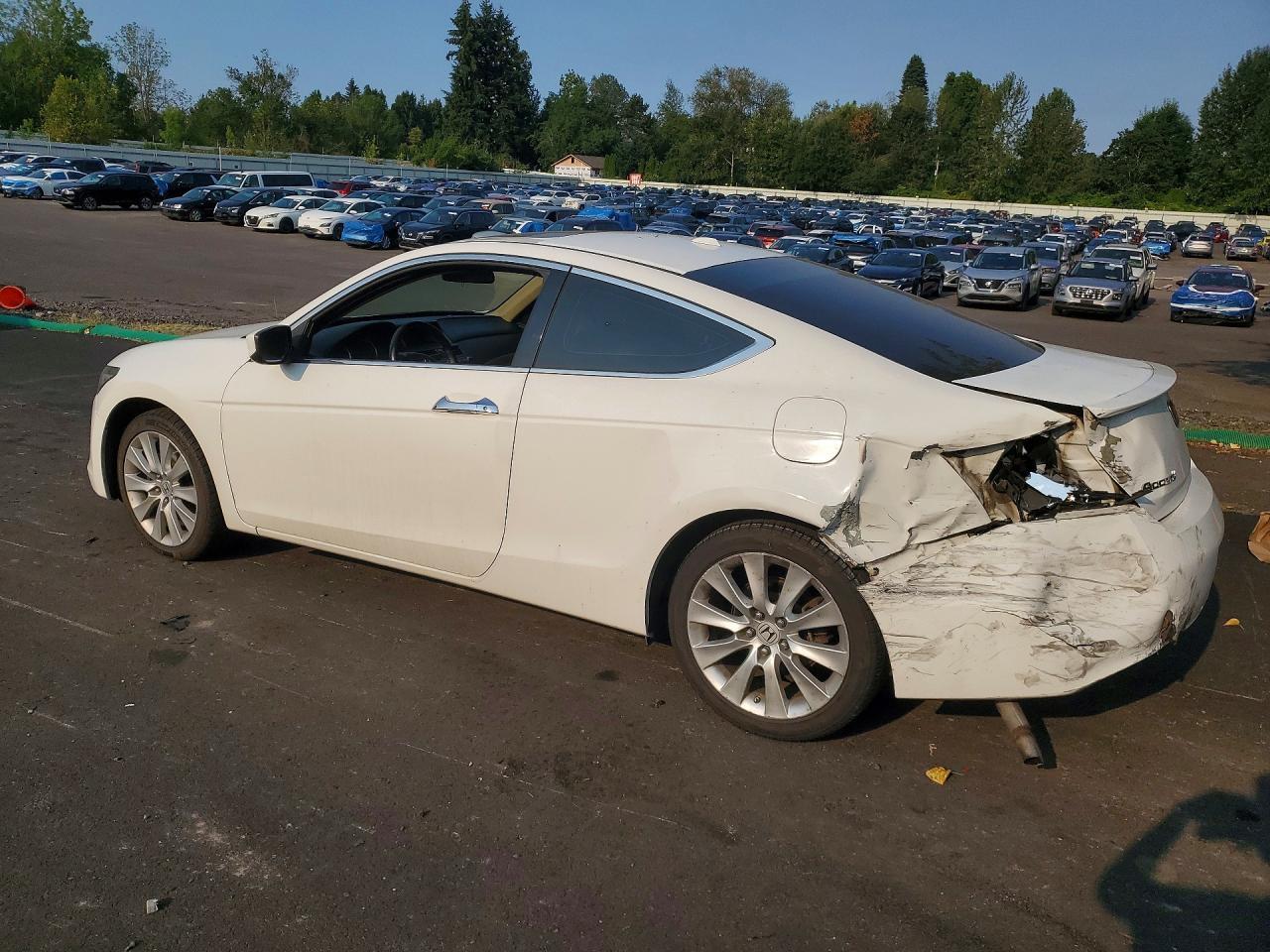 2010 Honda Accord Exl - Image 2