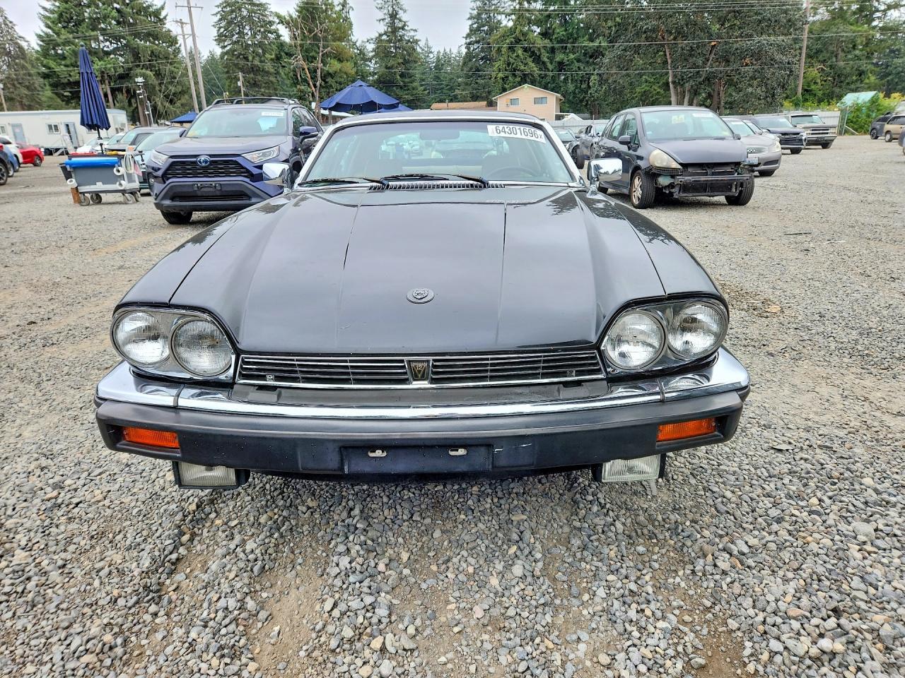 1983 Jaguar Xjs - Фото 5