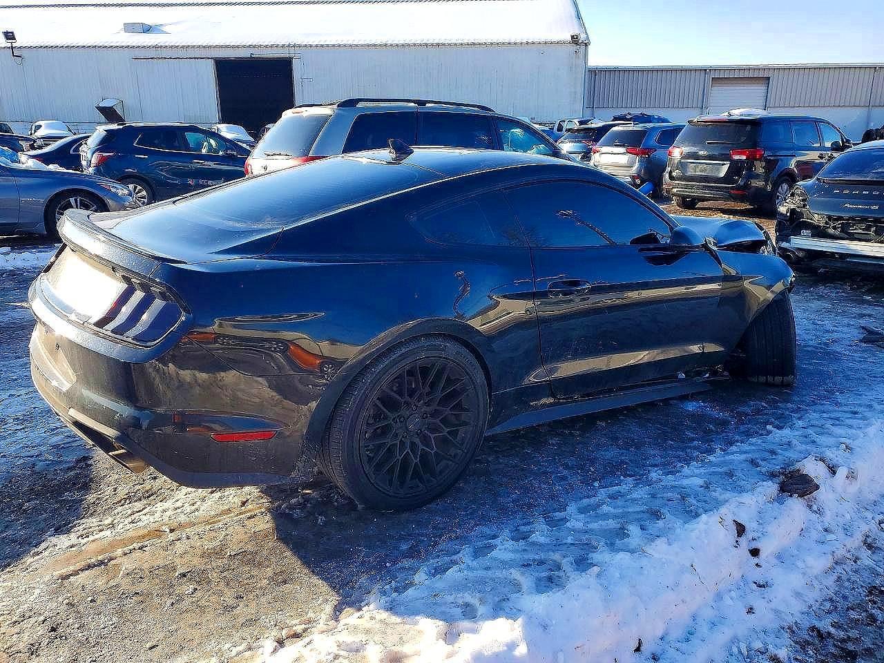 2021 Ford Mustang - Image 3
