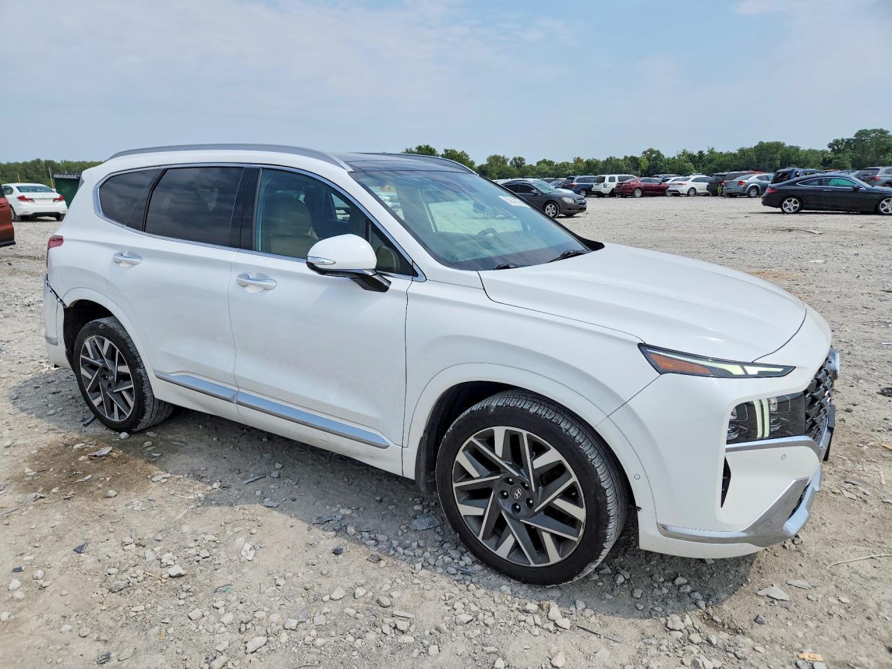 2023 Hyundai Santa Fe Calligraphy - Image 4