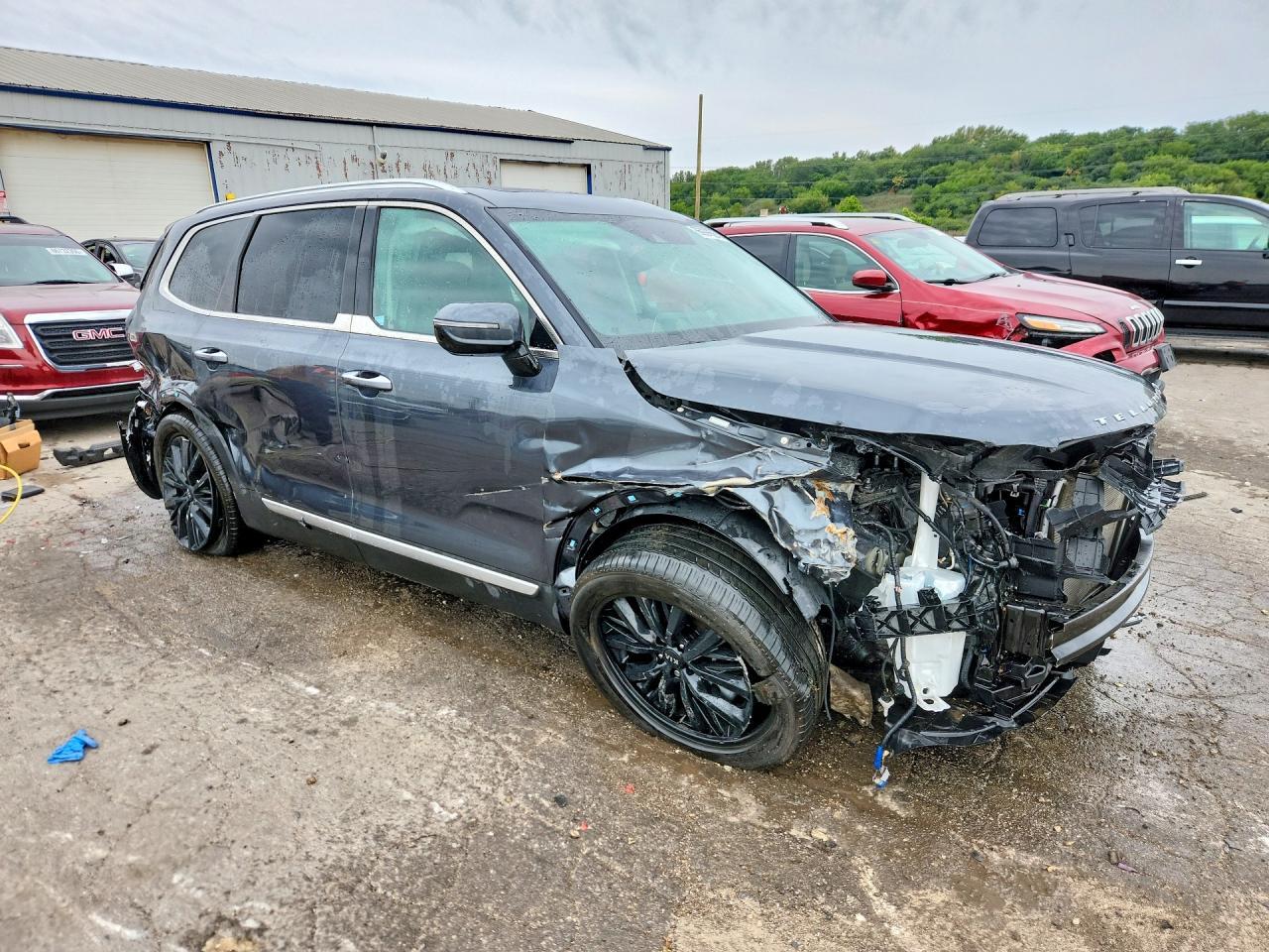 2021 Kia Telluride Sx - Фото 4