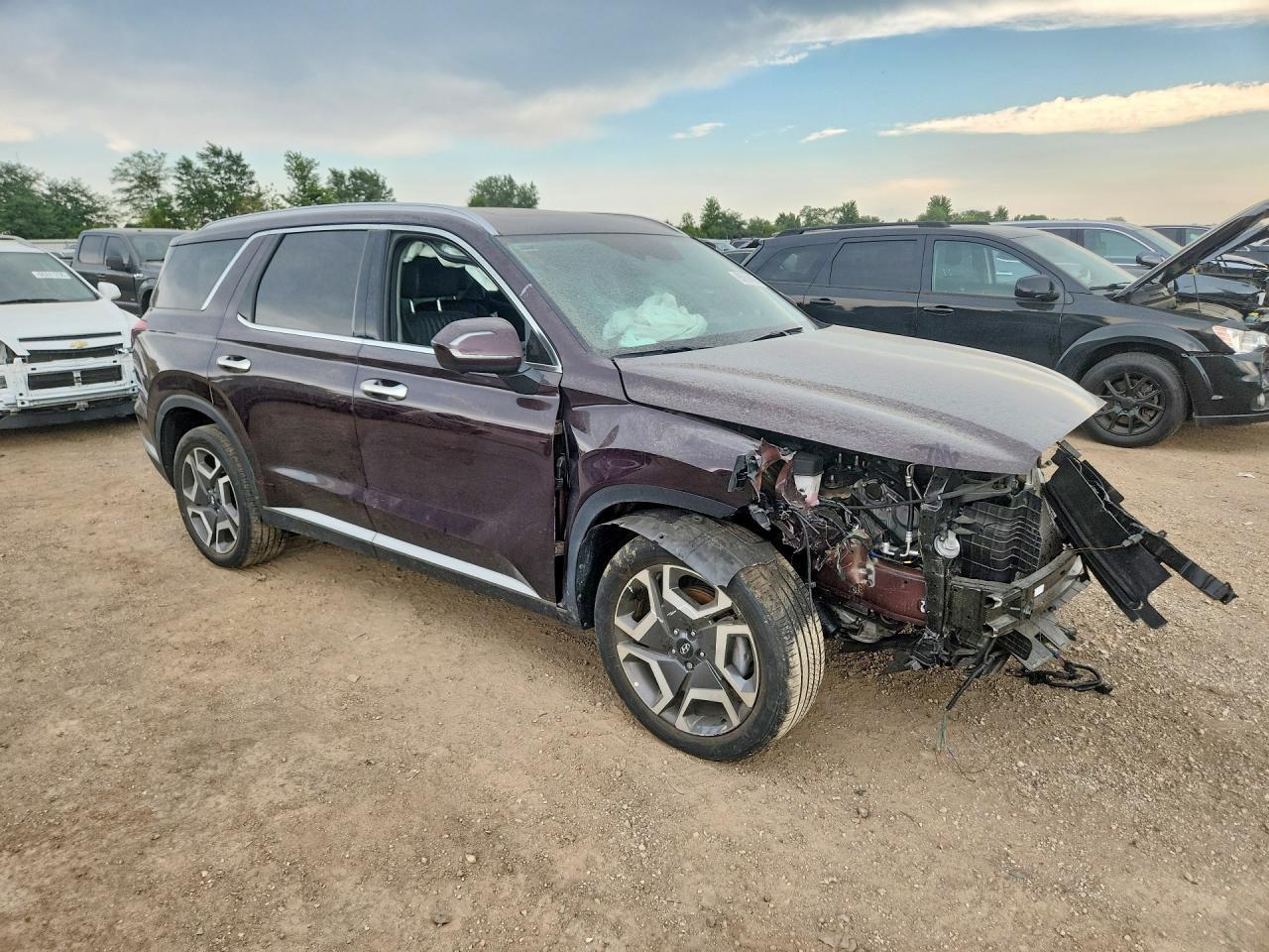 2023 Hyundai Palisade Limited - Фото 4