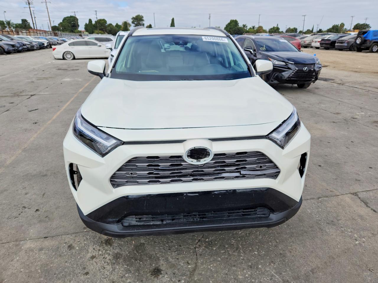 2019 Toyota Rav4 Limited - Фото 5