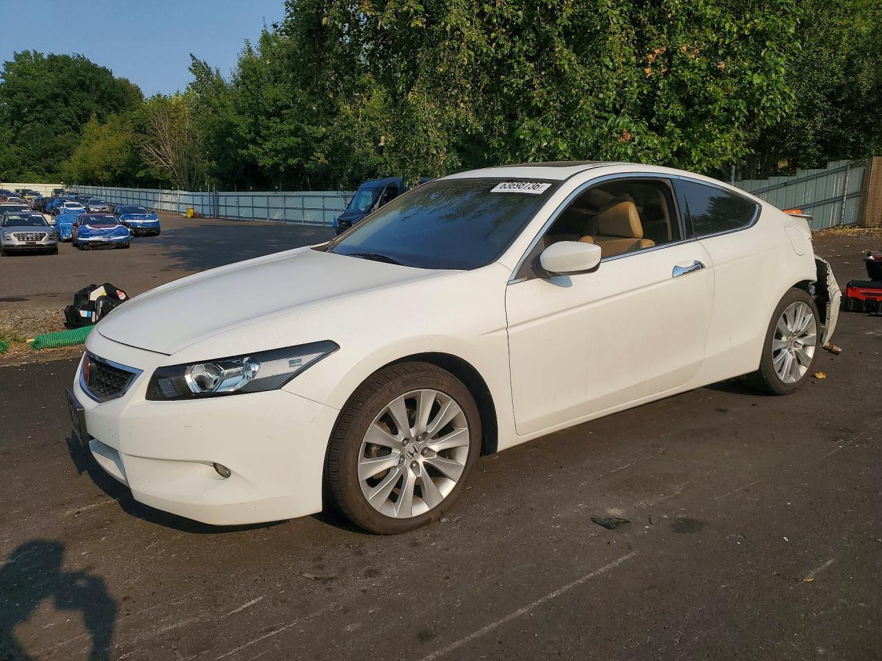 2010 Honda Accord Exl