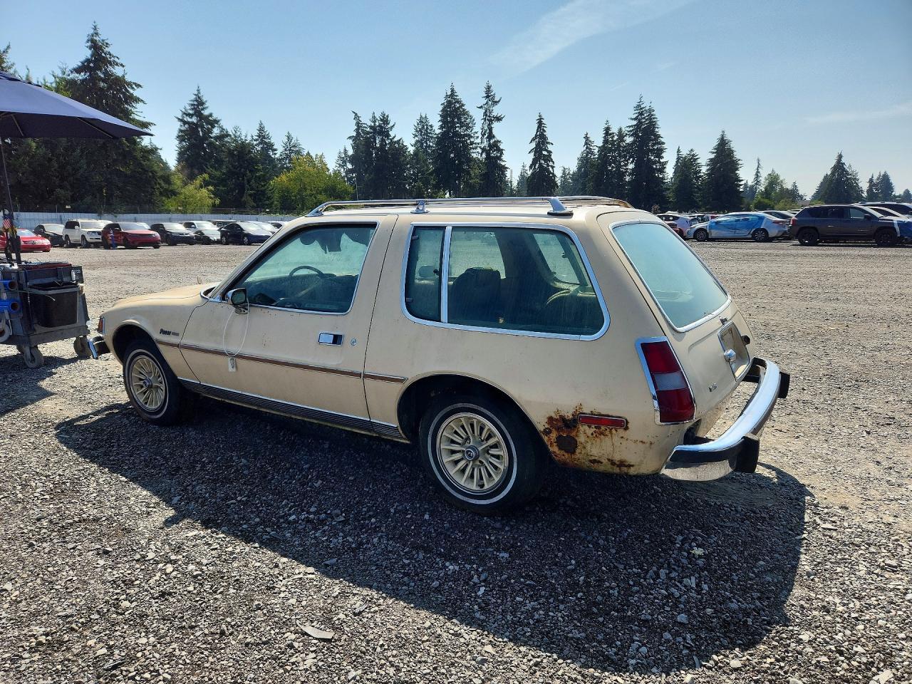 1976 American Motors Pacer 3.8 - Фото 2