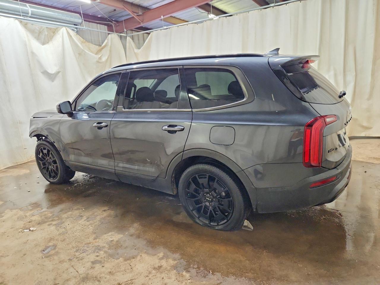 2022 Kia Telluride Sx - Фото 2