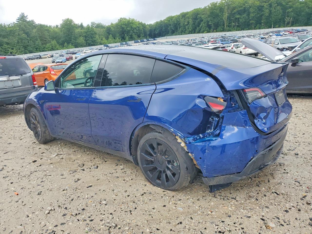 2022 Tesla Model Y - Фото 2