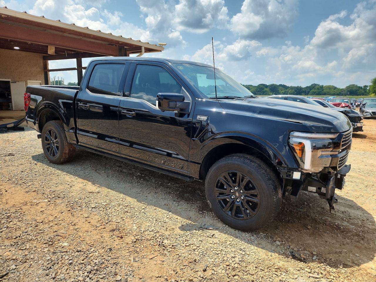 2024 Ford F150 Platinum - Фото 4