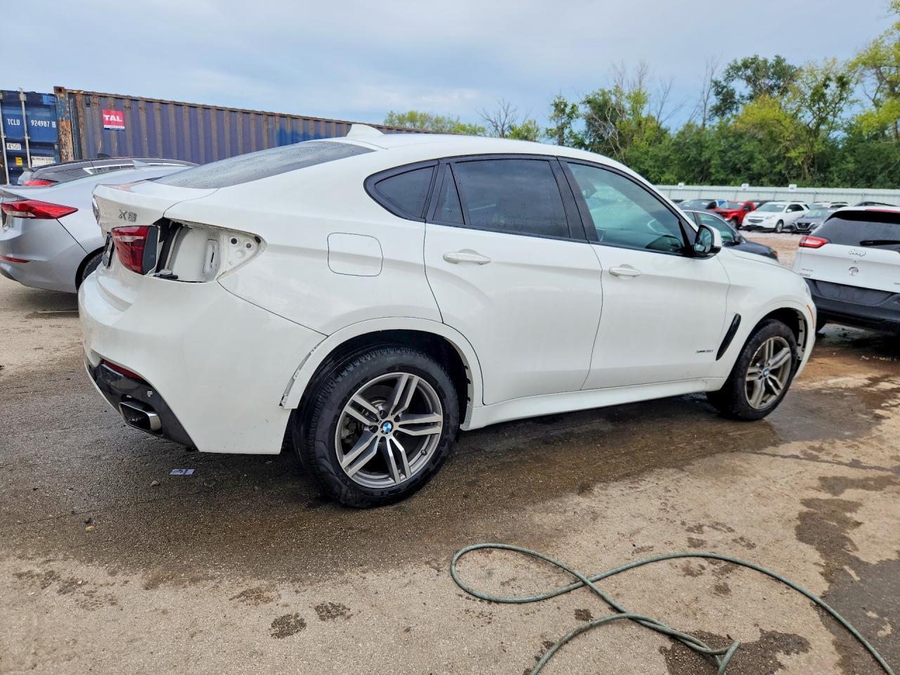 2019 BMW X6 xDrive35I - Фото 3