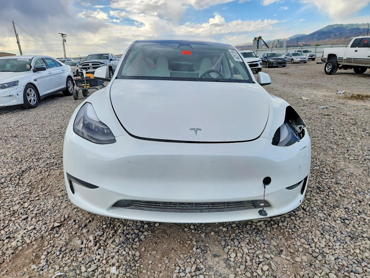 2023 Tesla Model Y - Image 5