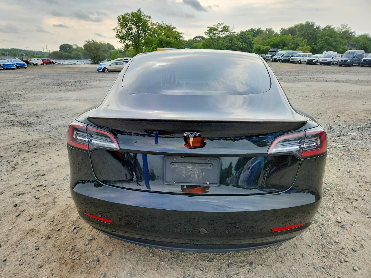2020 Tesla Model 3 - Фото 6
